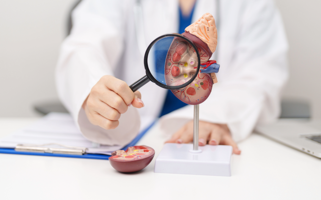 Kidney health